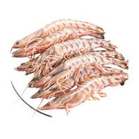 九节虾斑节虾大虾鲜活速冻 海虾斑节虾竹节虾黑虎虾新鲜虾基围虾