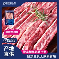 草原领头羊 原切去骨牛肋条牛肉新鲜冷冻牛腩牛肋排肉户外露营烧烤