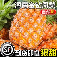 畅果汇 海南 金钻凤梨 1.5斤 试吃装