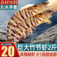 鲜味时刻 九节虾斑节虾竹节虾鲜活黑虎虾速冻海鲜基围虾特大超大鲜水产海虾