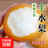 正宗丰水梨脆甜多汁新季梨子 带箱2斤