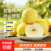 正宗砀山酥梨安徽特产秋日吃梨好时节启程 酥梨带箱2斤
