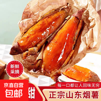 新鲜沙地烟薯25号糖心流油蜜薯 1斤