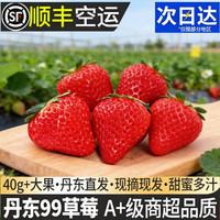 之味珍选 丹东99草莓牛奶新鲜 900g 中小果