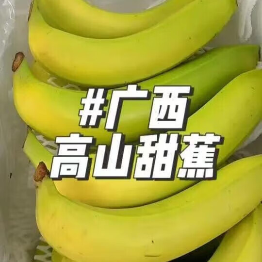 京喜加 正宗广西香蕉高山单根蕉新鲜 带箱9斤