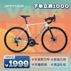 BROSS Vagabond A0 长途耐力公路车 650000