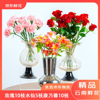 京东鲜花 产地仓严选云南基地直发玫瑰花生活花玫瑰10枝康乃馨10枝水仙5枝