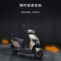 爱玛 电动摩托车凌志72v32AH长续航大功率双人电瓶车外卖骑手战斗机甲 雾林绿