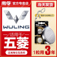 南孚 传应五菱汽车钥匙遥控器纽扣电池宏光MINI星辰NavoEV缤果征程