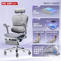  Ergonor/保友办公家具 人体工学设计 人体工学椅 云感科技座垫+躺舒宝