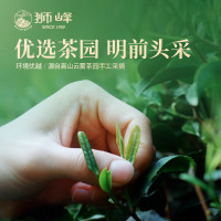 春茶里的第一缕鲜：狮峰 一年只采一次 2026年新茶 明前头采龙井茶 特级 200g一星纸包