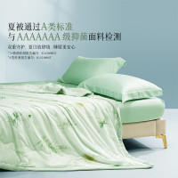 水星家纺 百丽丝 100%蚕丝空调被 抑菌可机洗蚕丝被 220cm×240cm 轻叶梦境