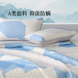水星家纺 可机洗 乳胶凉席两件套