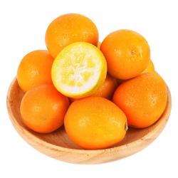 顾一 新鲜 金桔