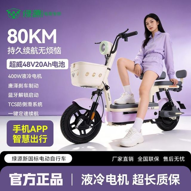 绿源 x源行者 新国标电动自行车 48V20A