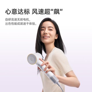  laifen/徕芬 负离子护发 高速吹风机