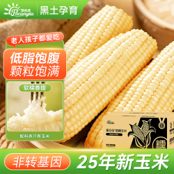 蒲仓佳 东北黄甜糯玉米黏玉米 甜糯玉米4.2斤（7-10根）