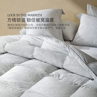  MERCURY/水星家纺 抑菌 羽绒被