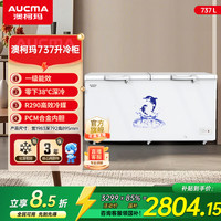 澳柯玛 737升冰柜直冷冷柜大容量超低温冰柜卧式两用BC/BD-737TC