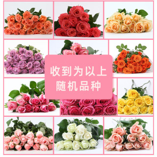 京东鲜花 源头直发 玫瑰花