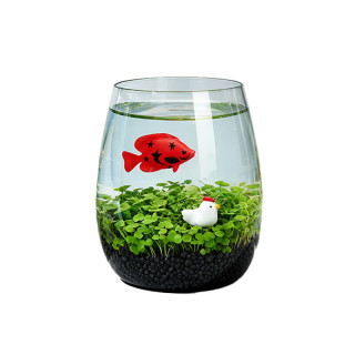 小花农 小清新种植 水培小对叶+小鱼+小黄鸭