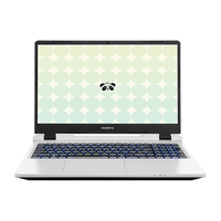 七彩虹隐星P15 13代酷睿i5 15.6英寸游戏笔记本电脑(i5-13420H 16GB 1TB RTX5060 165Hz)