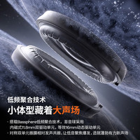 韶音 E310 耳夹式真无线动圈蓝牙耳机 原石黑 Type-C