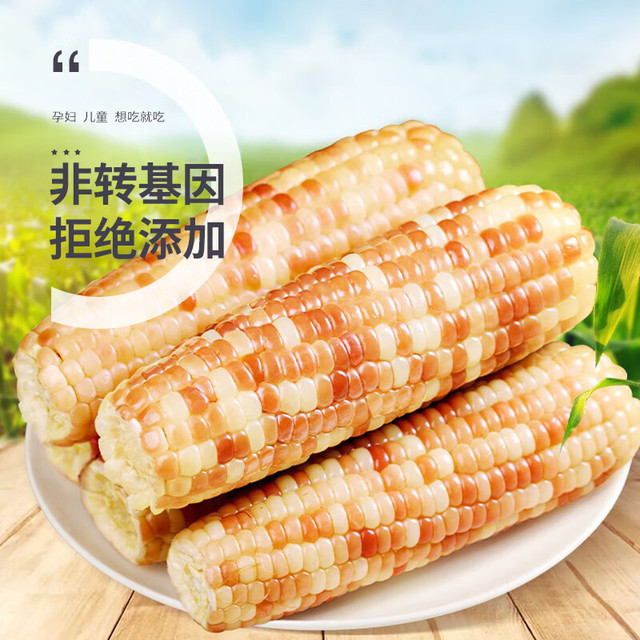 珍谷诱惑 花糯玉米10支 2.4kg