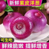 京喜加 新鲜山东紫洋葱现挖现发 2斤