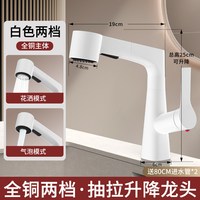 雅兰登 抽拉式 洗脸盆水龙头