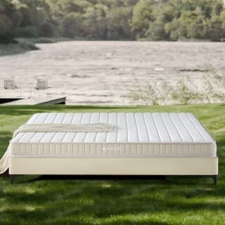 梦神 椰棕竹炭海绵床垫 可拆卸外套  白噪音揽月6Z  经典硬朗感/6cm 150*200cm