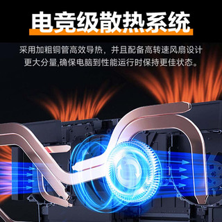 普惠优品 AP16 16G运行内存 笔记本电脑