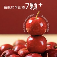  HOPE WATER/好望水 可以喝的奶皮子糖葫芦 山楂饮料