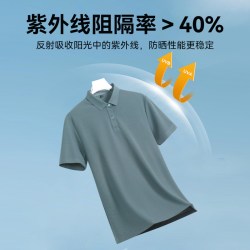 鸭鸭羽绒服 时尚简约 男士Polo衫