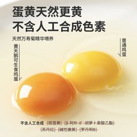 黄天鹅 可生食 鸡蛋