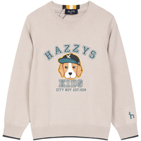 HAZZYS/哈吉斯 弹力舒适 男童线衣 极地灰 110