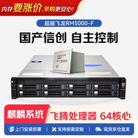 超越申泰 国产2*S5000C /32G/480GSSD/2T 硬盘/试用版银河麒麟V10系统国防版