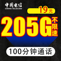 中国电信 19元205G全国流量不限速100分钟