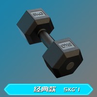  森克斯 哑铃套装 俯卧撑六角哑铃+环保无味+全