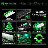 MAXSUN/铭瑄 高性能 内存条