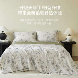 MIDO HOUSE 凉感 天丝夏凉被四件套 知槿