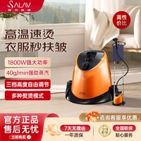 SALAV 贝尔莱德挂烫机家用小型蒸汽熨斗挂烫双杆大功率熨烫机GS1216S