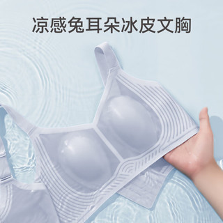  FENTENG/芬腾 凉感 女士文胸