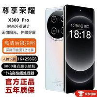 尊享荣耀 x300pro 骁龙芯片 蓝色 16GB+1TB 5G手机