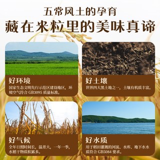  SHI YUE DAO TIAN/十月稻田 新米 五常大米