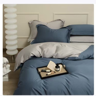 AIDLI 100支全棉贡缎新疆长绒棉双拼四件套 200*230cm