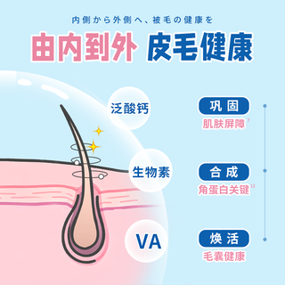  DHC Kitty&Doggy 猫咪维生素B复合防掉毛牛磺酸粉