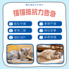  DHC Kitty&Doggy 免疫力保健品 猫咪维生素B复合防掉毛牛磺酸粉