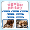  DHC Kitty&Doggy 免疫力保健品 宠物营养补充剂