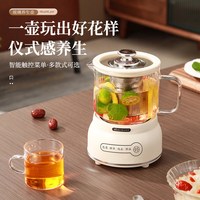 帕亚达 养生壶多功能家用小型迷你办公室茶壶保温纯玻璃全自动烧水煮茶器